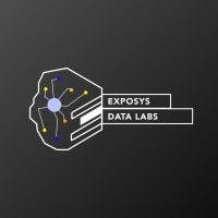 Exposys Data Labs logo